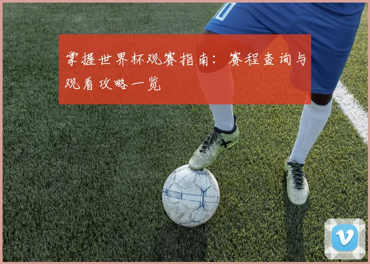 掌握世界杯观赛指南:赛程查询与观看攻略一览