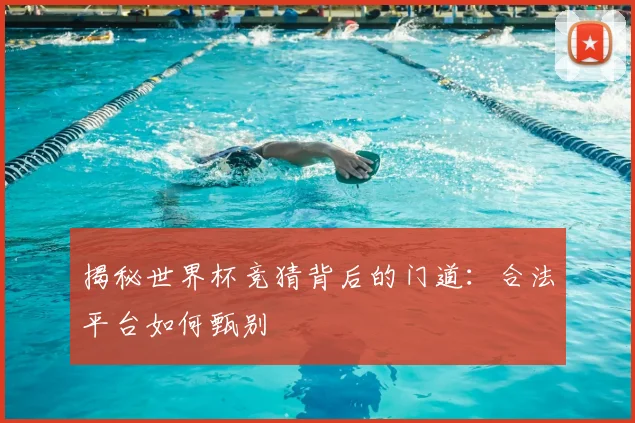 揭秘世界杯竞猜背后的门道：合法平台如何甄别
