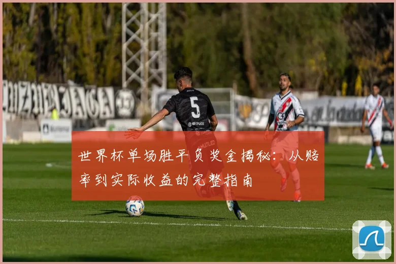 世界杯单场胜平负奖金揭秘：从赔率到实际收益的完整指南