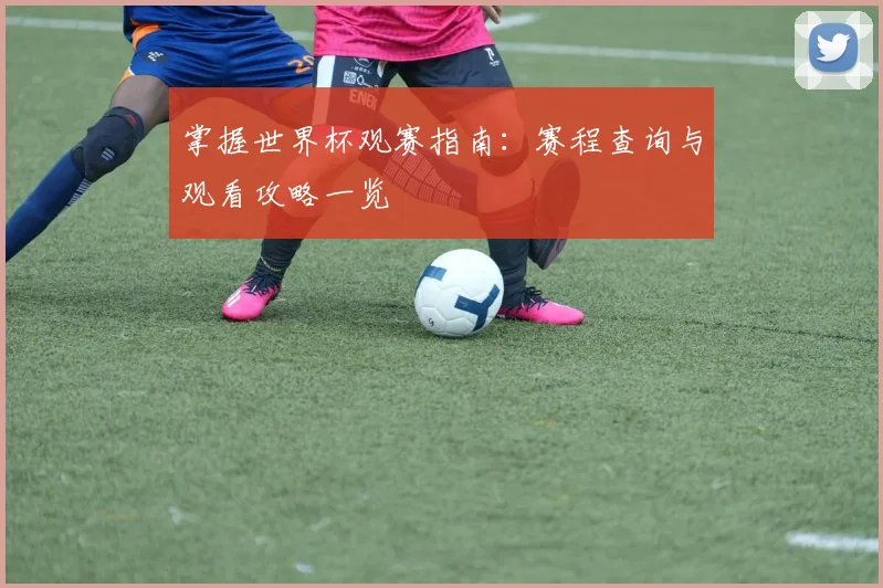 掌握世界杯观赛指南:赛程查询与观看攻略一览