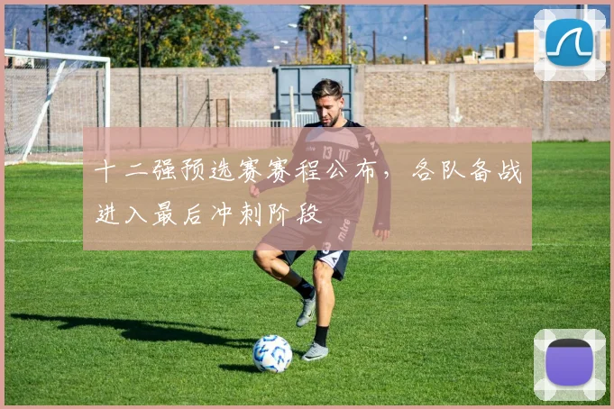 十二强预选赛赛程公布,各队备战进入最后冲刺阶段